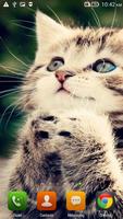 Cute Cats HD LWP HD. screenshot 2