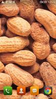 Nuts Peanuts LWP syot layar 3