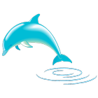 Dolphin иконка