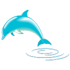 ikon Dolphin
