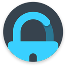 Asset Protection aplikacja