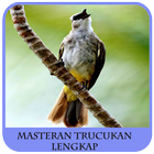 Masteran trucukan Lengkap icon