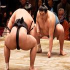 Pro Star Sumo Wrestling - Fighting Games 2018 أيقونة