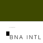 BNA INTL _ctreamer icône