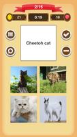 Cats Quiz ảnh chụp màn hình 3