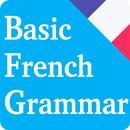 Basic French grammar APK