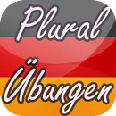 Plural Übungen Zertifikat B1 APK