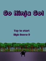 Go Ninja Go poster