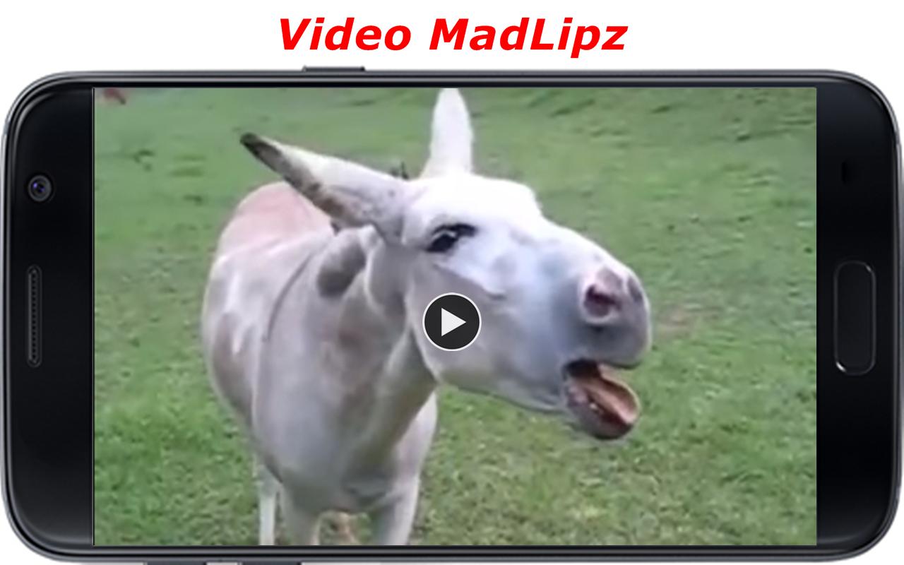 Voice Parody Video Madlipz For Android Apk Download