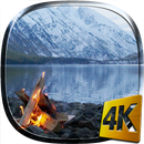 Сampfire Live Wallpaper APK