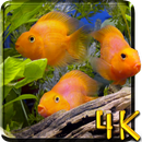 Aquarium 4K Live Wallpaper APK