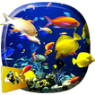 Aquarium Video Live Wallpaper