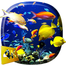 অ্যাকোয়ারিয়াম APK