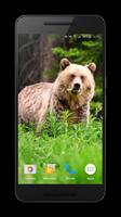 Bear 4K Live Wallpaper imagem de tela 1