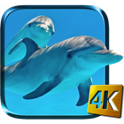 ikon Dolphins Live Wallpaper