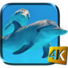 Dolphins Live Wallpaper biểu tượng