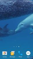 برنامه‌نما Dolphins Live Wallpaper عکس از صفحه