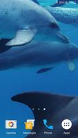 برنامه‌نما Dolphins Live Wallpaper عکس از صفحه