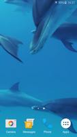 Dolphins Live Wallpaper imagem de tela 2