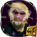Dance Monkey 4K Live Wallpaper