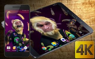 پوستر Dance Monkey 4K Live Wallpaper