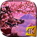 Sakura Live Wallpaper APK