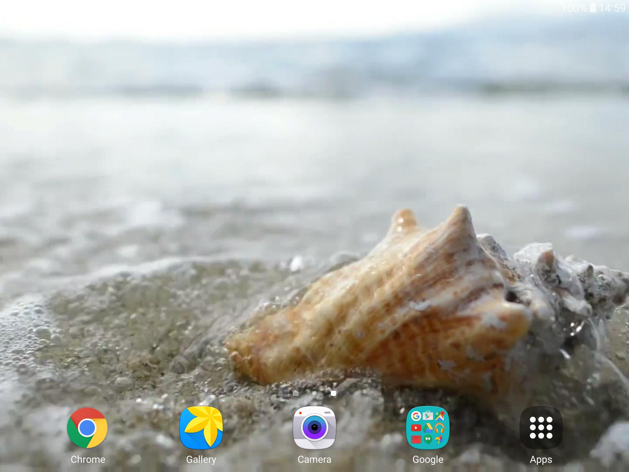 Sea Shell 4k Live Wallpaper For Android Apk Download Images, Photos, Reviews