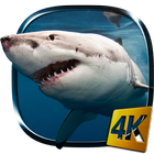 آیکون‌ Shark 4K Live Wallpaper