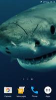 برنامه‌نما Shark 4K Live Wallpaper عکس از صفحه