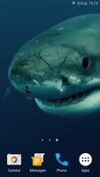 2 Schermata Shark 4K Live Wallpaper