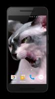 Sphynx Cat Live Wallpaper captura de pantalla 3