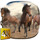 Caballos Salvajes 4K icono