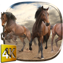 Wild Horses Live Wallpaper-APK