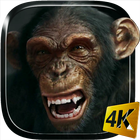 Talking Monkey Live Wallpaper icono