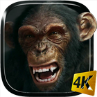 Talking Monkey Live Wallpaper icône