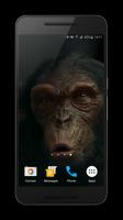 Talking Monkey Live Wallpaper capture d'écran 3