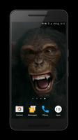 Talking Monkey Live Wallpaper capture d'écran 2