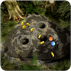 Gravity Constant APK