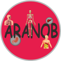 ARANOB
