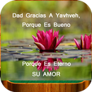 Reflexiones Cristianas APK