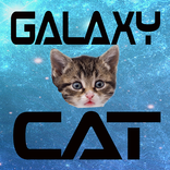 Galaxy Cat - Games for cats!