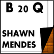 Shawn Mendes Best 20 Quotes