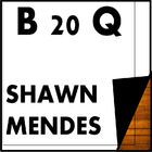 Shawn Mendes Best 20 Quotes आइकन