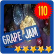 Grape Jam Recipes 📘 Cooking Guide Handbook