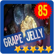 Grape Jelly Recipes 📘 Cooking Guide Handbook