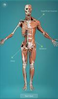3D Human Anatomy Quiz Affiche
