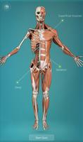 3D Human Anatomy Quiz 海报