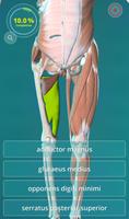 3D Human Anatomy Quiz 截图 1