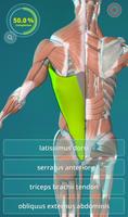 3D Human Anatomy Quiz capture d'écran 2