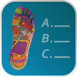 Reflexology Quiz 3D - foot - h